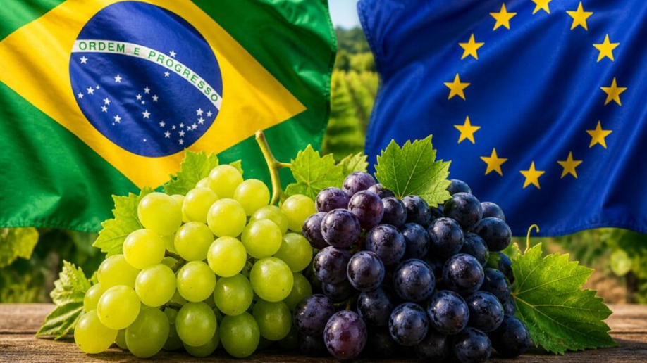 Brasil y el acuerdo UE–MERCOSUR: uva de mesa sin arancel