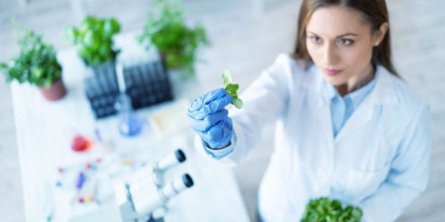 Industrias biotecnológicas, opción para aprovechar residuos alimentarios – Universidad Veracruzana