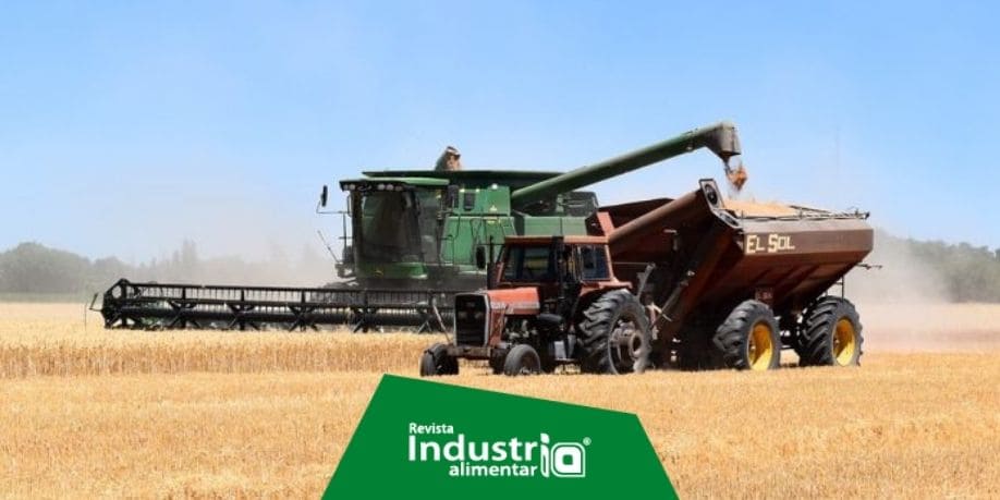 Producción mundial de trigo y maíz aumentará en 2022