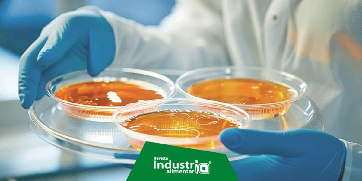 Fermentación para lograr colorantes sostenibles