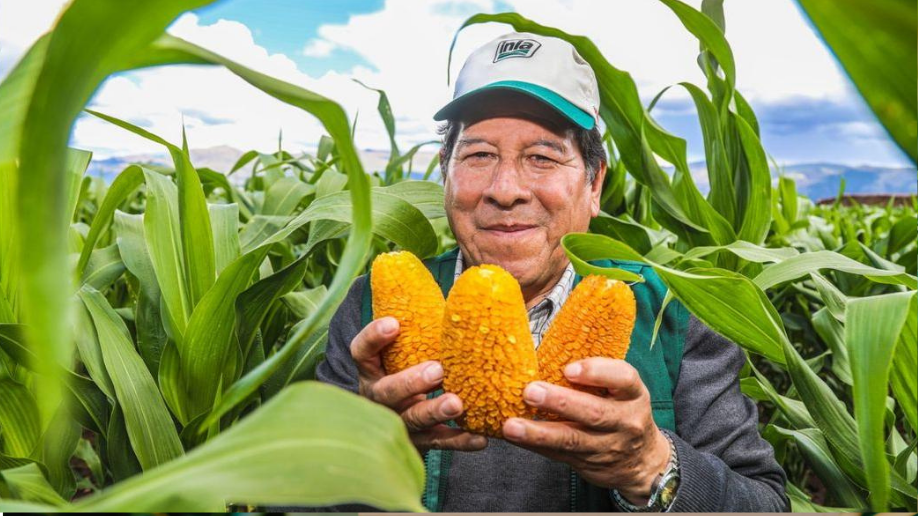 Productor agr&iacute;cola peruano