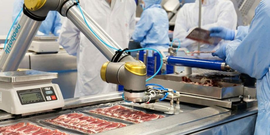 La importancia de los robots colaborativos en la industria agroalimentaria