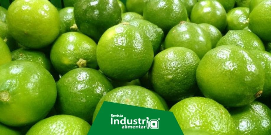 Las agroexportaciones de limón peruano no dejan de crecer