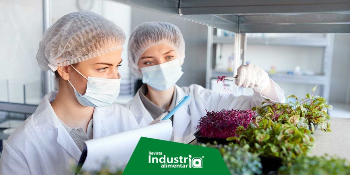 Importancia del Sistema HACCP para la Industria de Alimentos