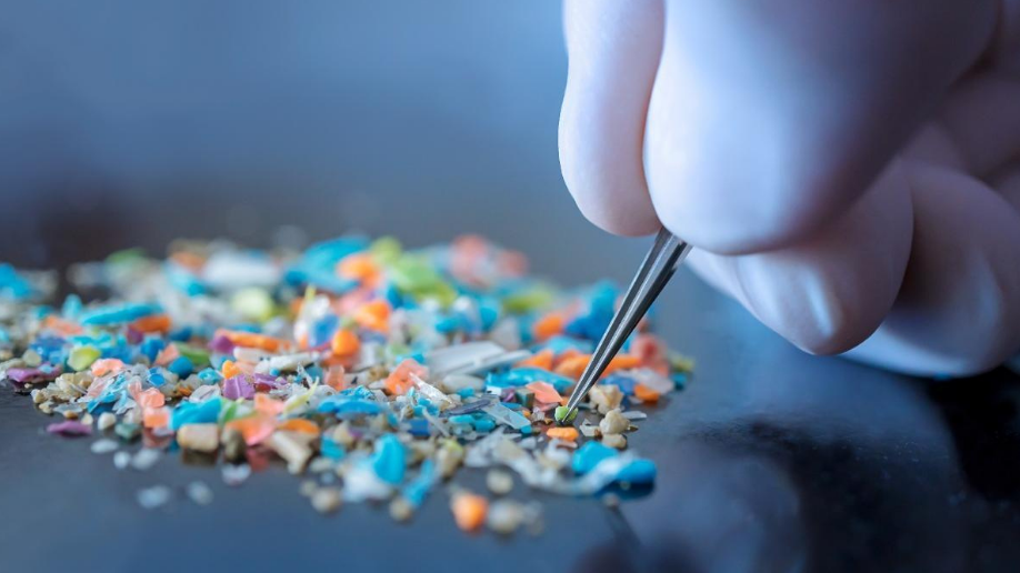 Microplásticos en tu cerebro: el lado oscuro de la comida ultraprocesada