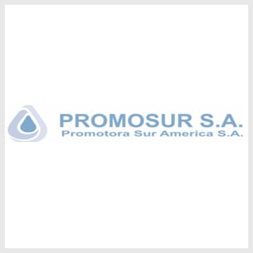 PROMOTORA SUR AMÉRICA S.A. - PROMOSUR S.A.