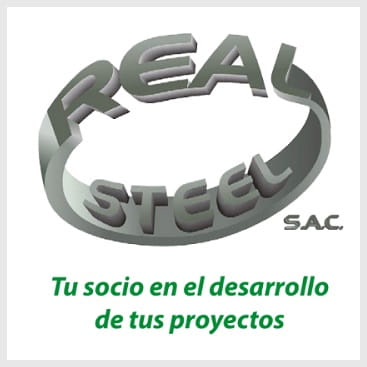 REAL STEEL S.A.C.