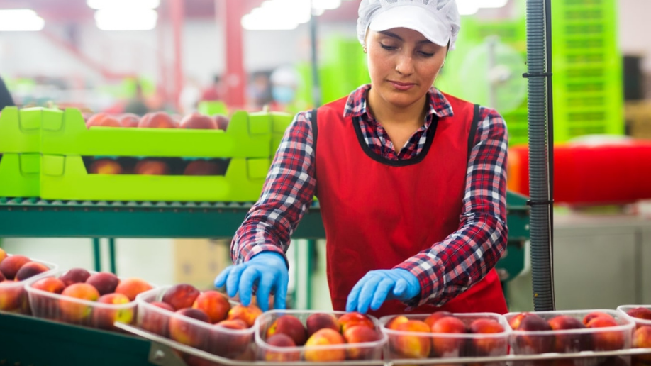 Imagen del artículo Sostenibilidad impulsa la transformación de la industria alimentaria peruana